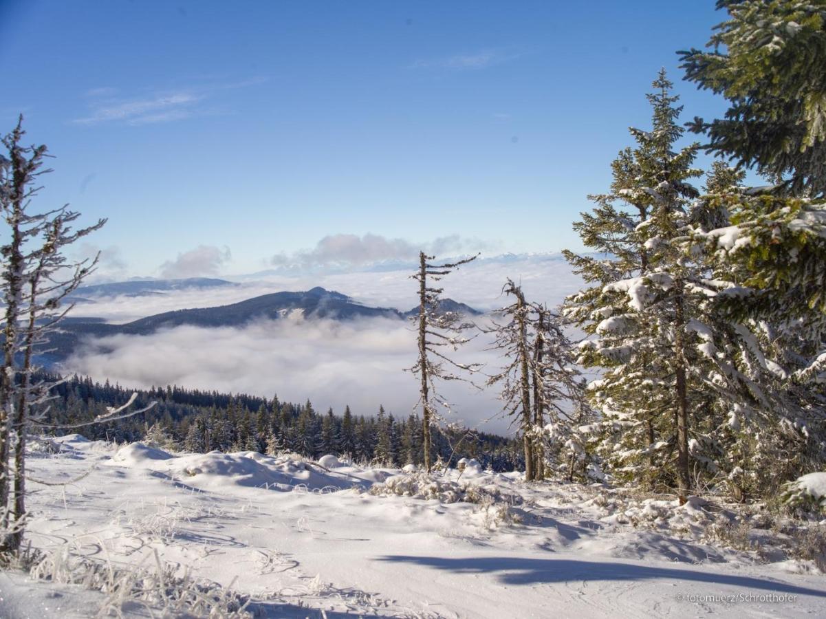 Wiesenquartier I Chalet I Adults Only Langenwang Bagian luar foto